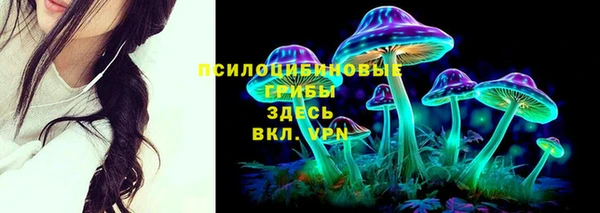 крисы Арсеньев
