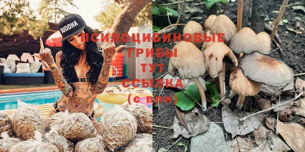 MDMA Premium VHQ Армянск