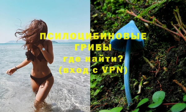 MDMA Premium VHQ Армянск
