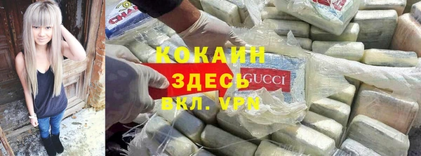 крисы Арсеньев