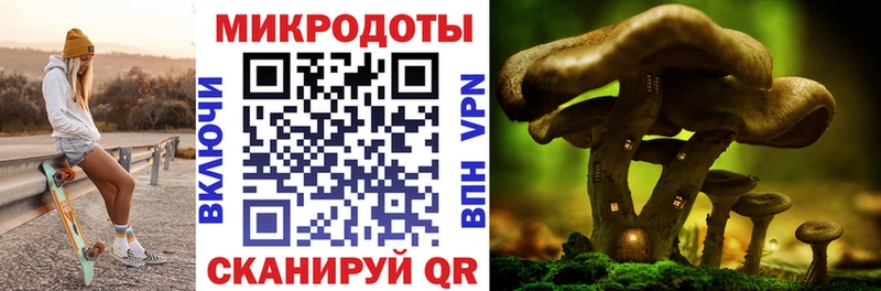 наркошоп Свирск blacksprut как войти Псилоцибиновые грибы MAGIC MUSHROOMS